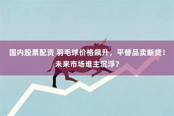 国内股票配资 羽毛球价格飙升，平替品卖断货！未来市场谁主沉浮？